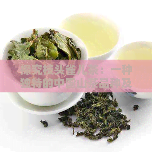 探究枝头雀儿茶：一种独特的中国山茶品种及其风味