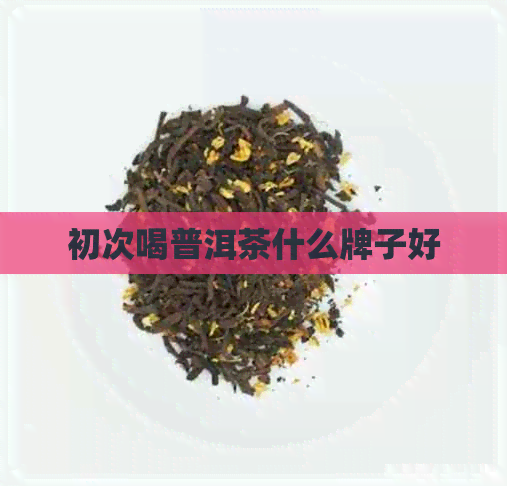 初次喝普洱茶什么牌子好