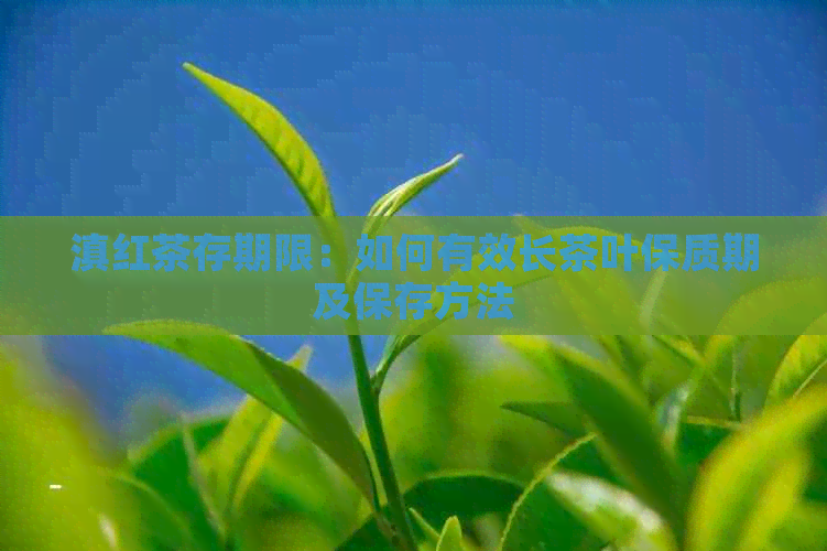 滇红茶存期限：如何有效长茶叶保质期及保存方法