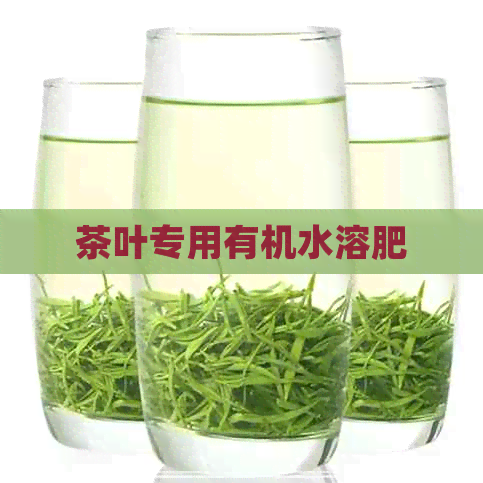 茶叶专用有机水溶肥