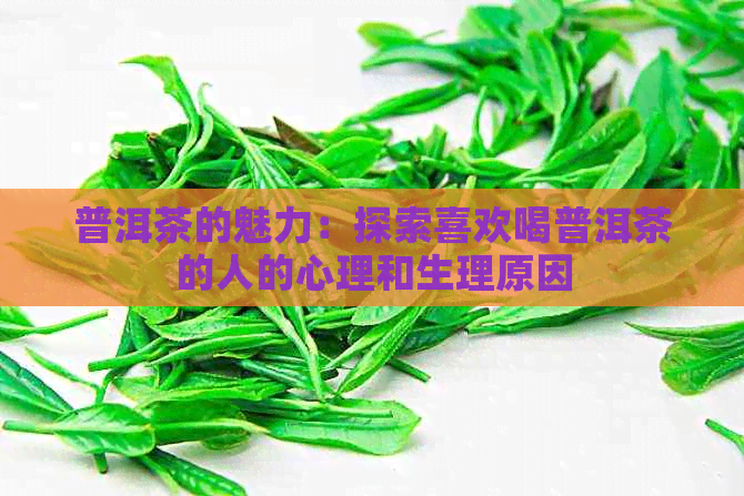 普洱茶的魅力：探索喜欢喝普洱茶的人的心理和生理原因