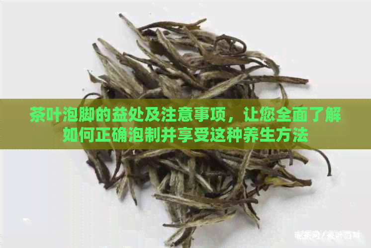 茶叶泡脚的益处及注意事项，让您全面了解如何正确泡制并享受这种养生方法