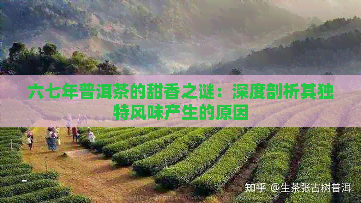 六七年普洱茶的甜香之谜：深度剖析其独特风味产生的原因