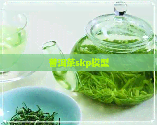 普洱茶skp模型