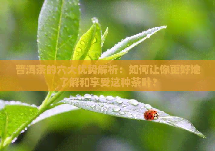 普洱茶的六大优势解析：如何让你更好地了解和享受这种茶叶？