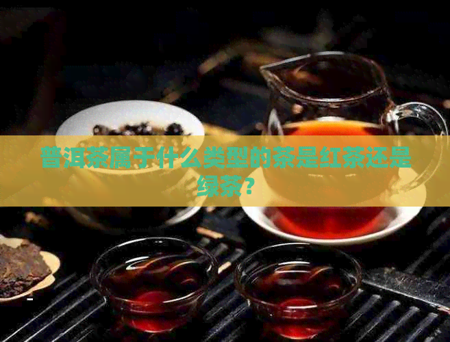 普洱茶属于什么类型的茶是红茶还是绿茶？