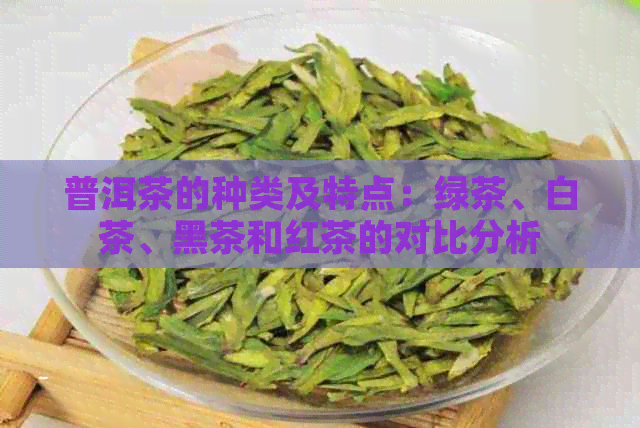 普洱茶的种类及特点：绿茶、白茶、黑茶和红茶的对比分析