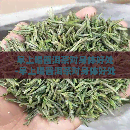 早上喝普洱茶对身体好处-早上喝普洱茶对身体好处吗