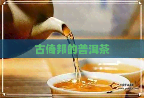 古倚邦的普洱茶