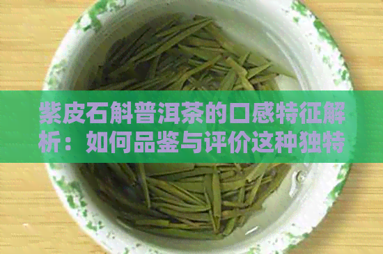 紫皮石斛普洱茶的口感特征解析：如何品鉴与评价这种独特的茶饮？