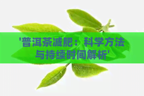 '普洱茶减肥：科学方法与持续时间解析'