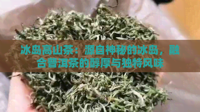 冰岛高山茶：源自神秘的冰岛，融合普洱茶的醇厚与独特风味