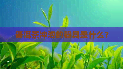 普洱茶冲泡的器具是什么？