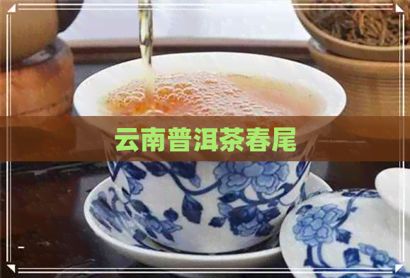 云南普洱茶春尾