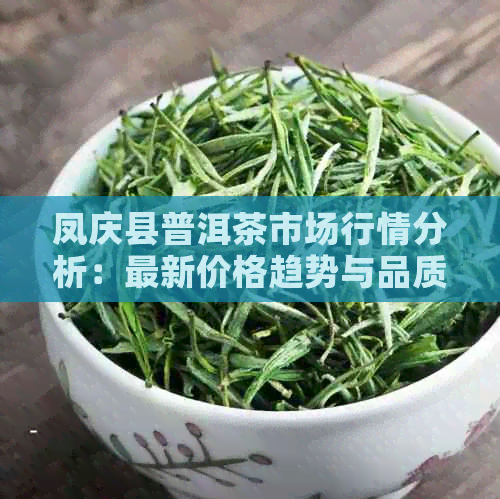 凤庆县普洱茶市场行情分析：最新价格趋势与品质对比