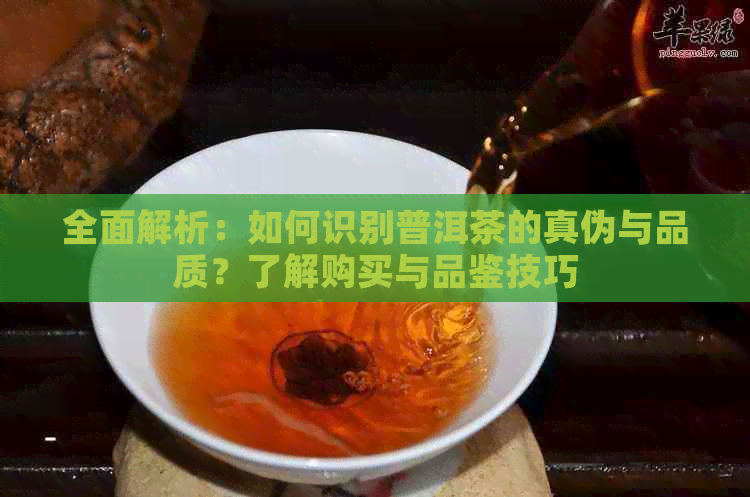 全面解析：如何识别普洱茶的真伪与品质？了解购买与品鉴技巧