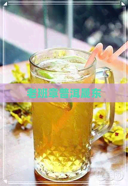 老班章普洱晟东