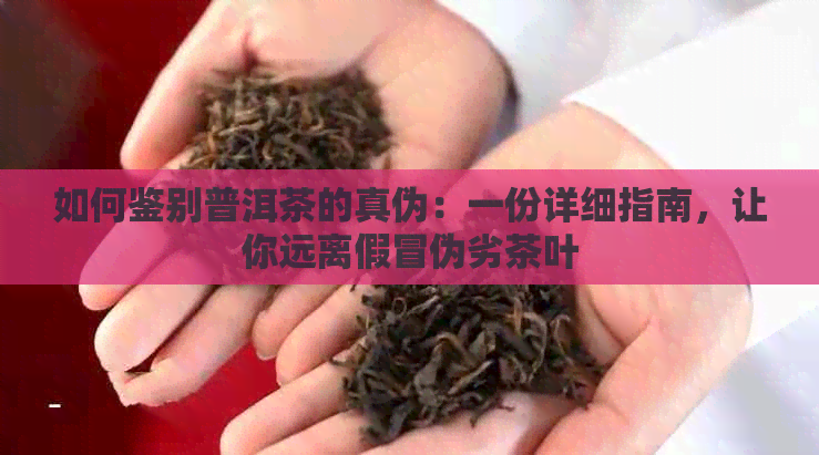 如何鉴别普洱茶的真伪：一份详细指南，让你远离假冒伪劣茶叶