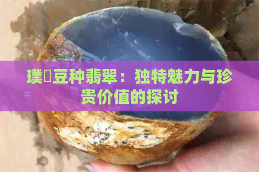 璞嗙豆种翡翠：独特魅力与珍贵价值的探讨