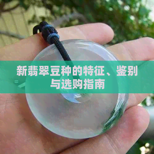 新翡翠豆种的特征、鉴别与选购指南