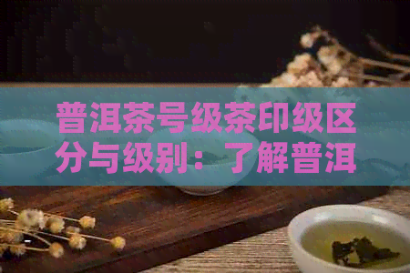 普洱茶号级茶印级区分与级别：了解普洱茶的品质等级。