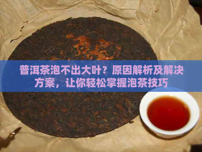 普洱茶泡不出大叶？原因解析及解决方案，让你轻松掌握泡茶技巧