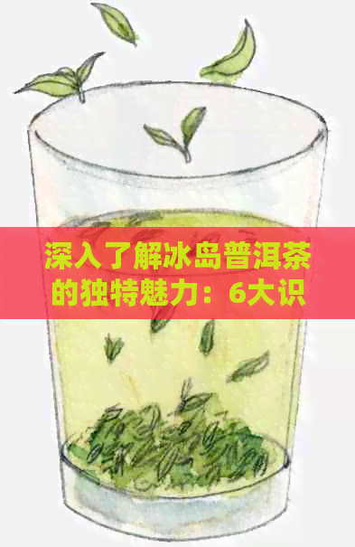 深入了解冰岛普洱茶的独特魅力：6大识别技巧与特色品种分析