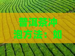 普洱茶冲泡方法：如何煮出口感？