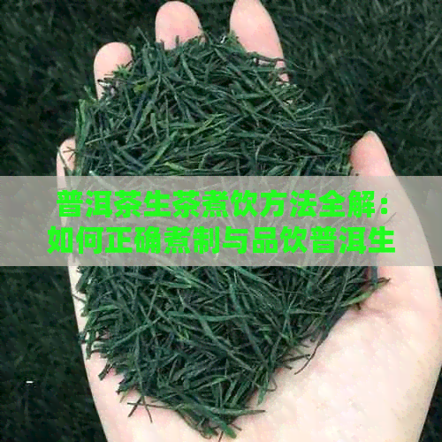 普洱茶生茶煮饮方法全解：如何正确煮制与品饮普洱生茶？