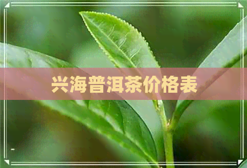 兴海普洱茶价格表