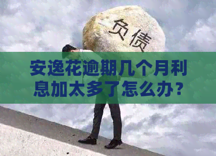 安逸花逾期几个月利息加太多了怎么办？一个月利息多少？