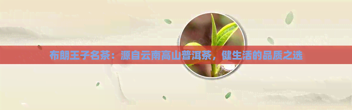 布朗王子名茶：源自云南高山普洱茶，健生活的品质之选