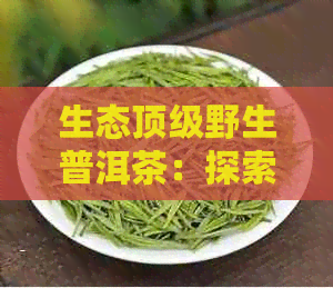 生态顶级野生普洱茶：探索品质与口感的极致体验