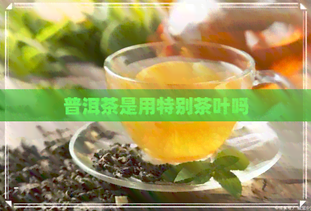 普洱茶是用特别茶叶吗