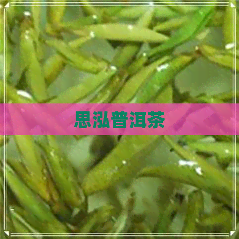 思泓普洱茶