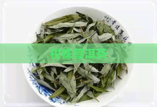 柑株普洱茶