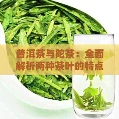 普洱茶与陀茶：全面解析两种茶叶的特点、冲泡方法及健益处