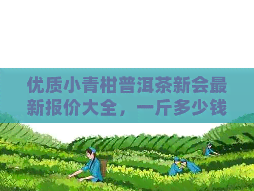 优质小青柑普洱茶新会最新报价大全，一斤多少钱？批发价格