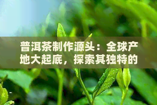 普洱茶制作源头：全球产地大起底，探索其独特的制茶工艺与风味