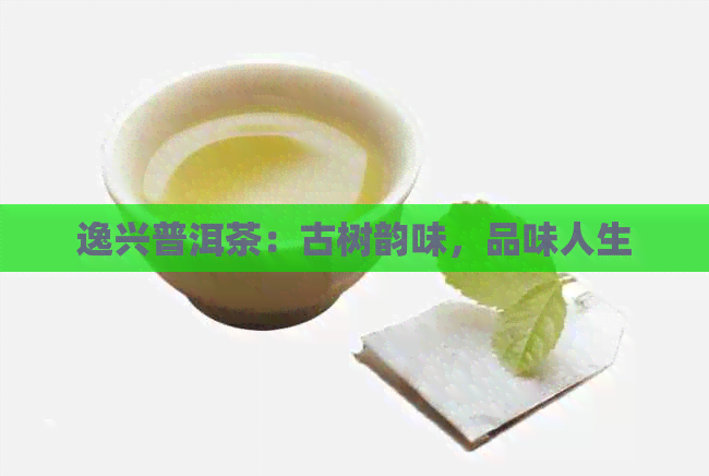 逸兴普洱茶：古树韵味，品味人生