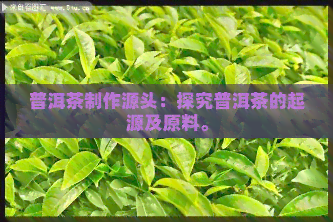 普洱茶制作源头：探究普洱茶的起源及原料。