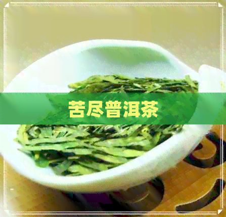 苦尽普洱茶