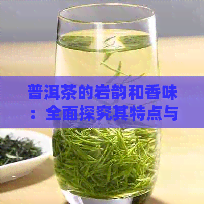 普洱茶的岩韵和香味：全面探究其特点与品质