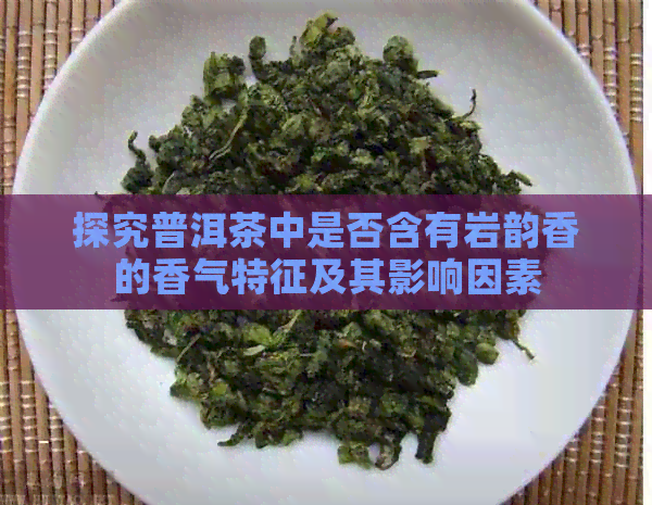 探究普洱茶中是否含有岩韵香的香气特征及其影响因素