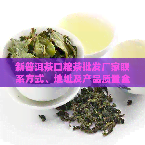 新普洱茶口粮茶批发厂家联系方式、地址及产品质量全面解析