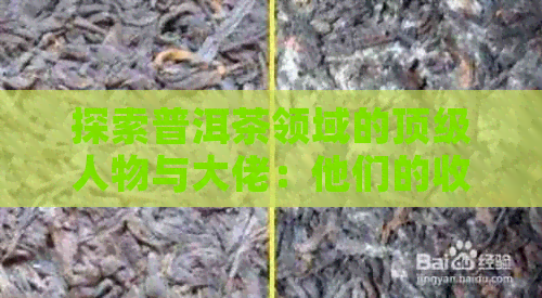 探索普洱茶领域的顶级人物与大佬：他们的收藏和品鉴之道