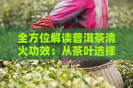 全方位解读普洱茶清火功效：从茶叶选择到饮用技巧，助您轻松降火