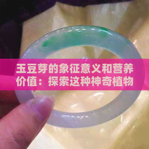 玉豆芽的象征意义和营养价值：探索这种神奇植物背后的文化与健康之道