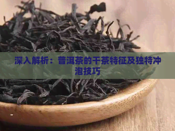 深入解析：普洱茶的干茶特征及独特冲泡技巧