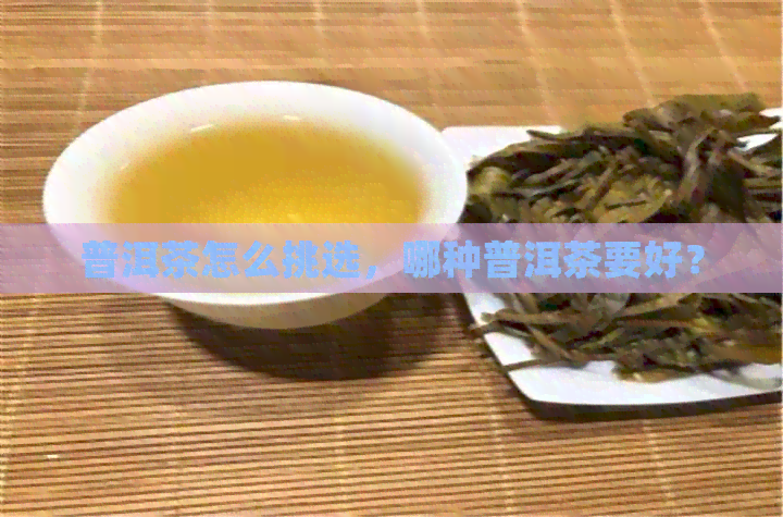 普洱茶怎么挑选，哪种普洱茶要好？